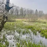 Farma Dziejba Izerska Giebultow (Lwowek Slaski)