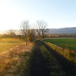 Dziejba Izerska *