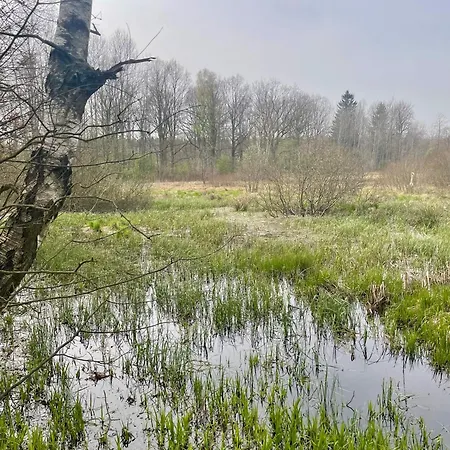 Farma Dziejba Izerska Giebultow (Lwowek Slaski)