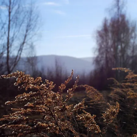 Dziejba Izerska Κατάλυμα σε φάρμα *
