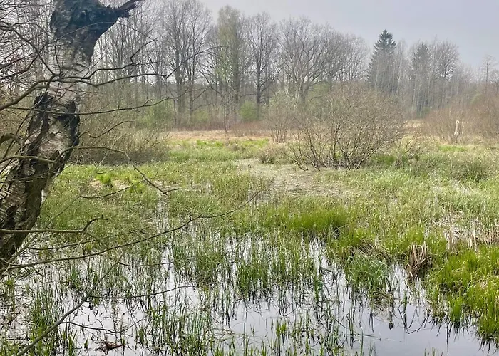Κατάλυμα σε φάρμα Dziejba Izerska Giebultow (Lwowek Slaski)
