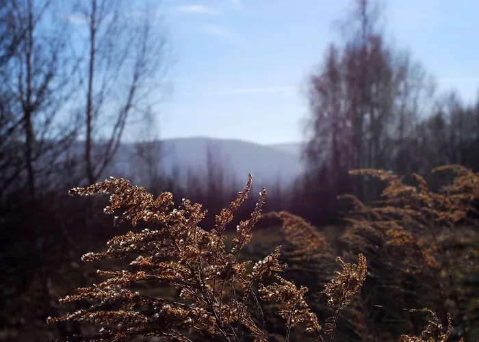 Dziejba Izerska Κατάλυμα σε φάρμα *