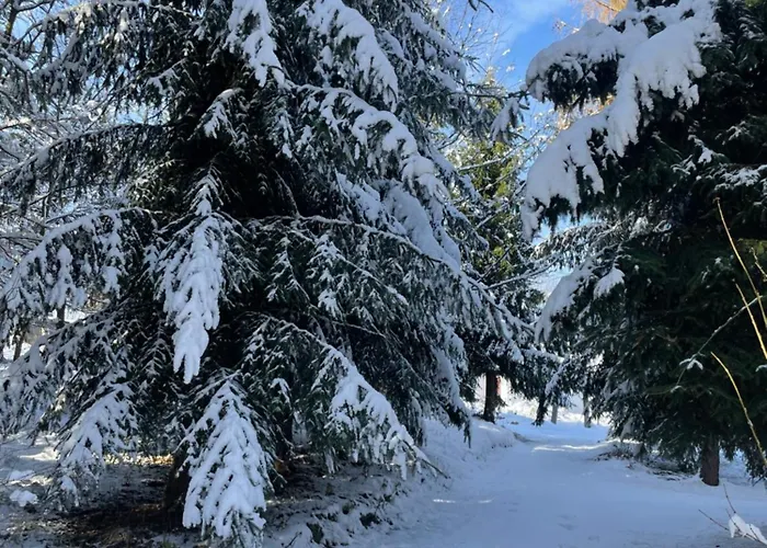 Dziejba Izerska Κατάλυμα σε φάρμα